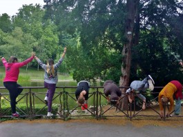 Klaus – Tanz im öffentlichen Raum